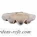 Beachcrest Home Clam Shell Decorative Bowl BCHH1055